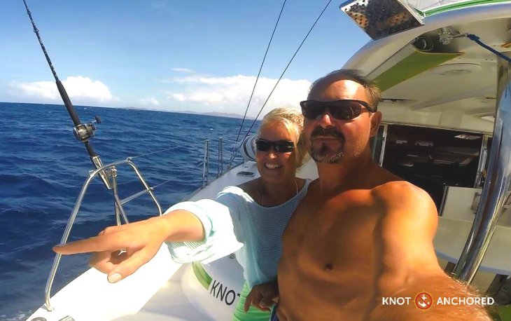 Dolphin spotting on Knot Anchored