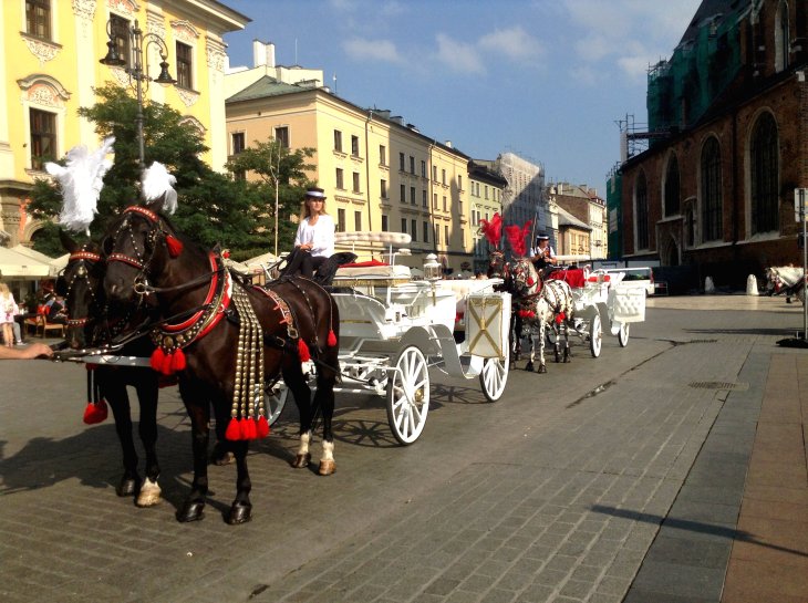 Horse and buggy Stare Miasto Krakow