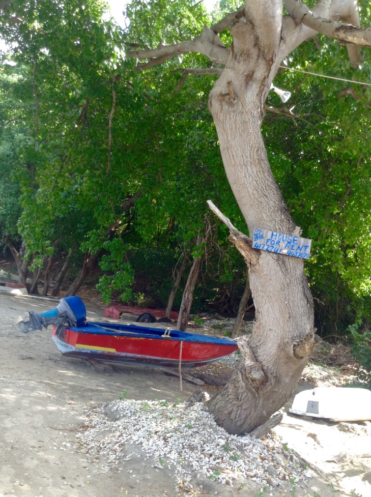 Fishing boat under tree, on the sand, Tyrrel Carricou  