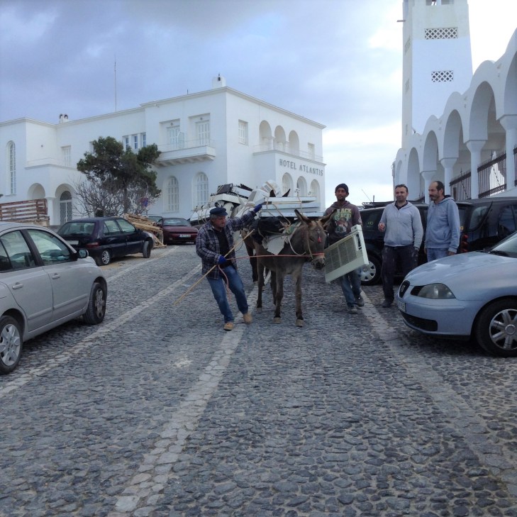 constructio donkeys, Santorini, Greece