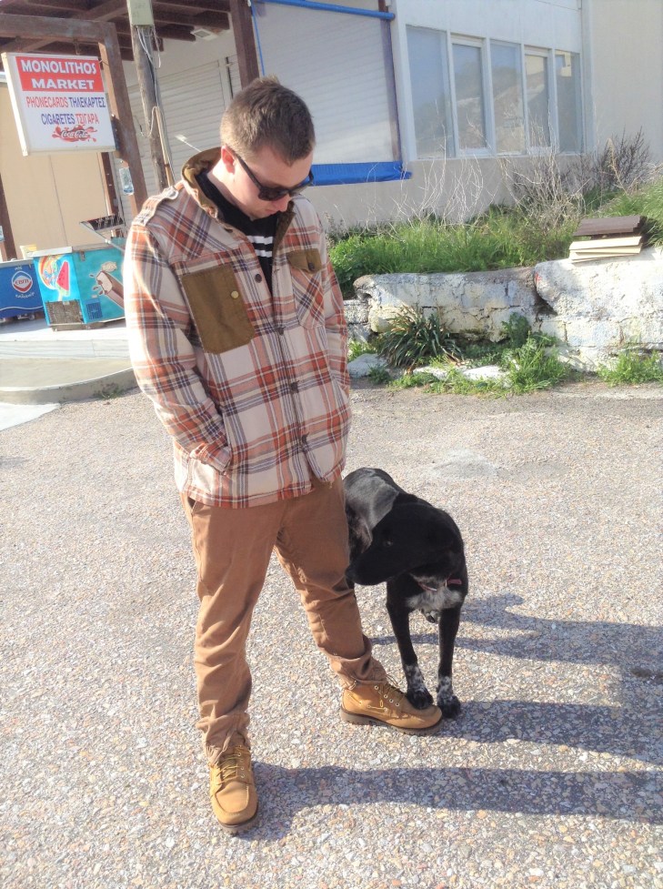 dog, Santorini, adopt, Greece, happy