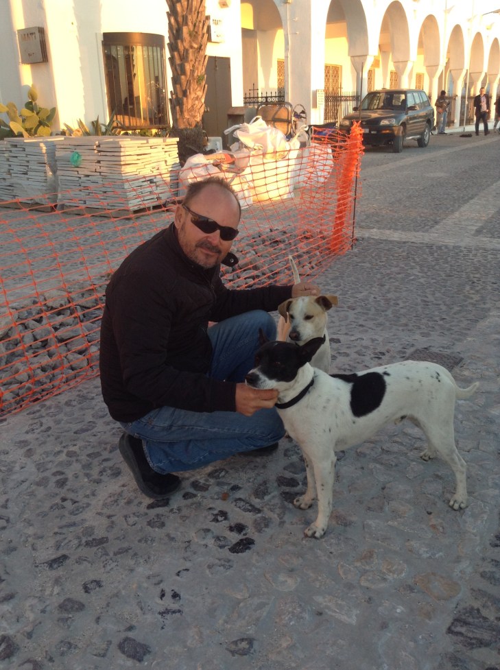 dogs, Santorini, Greece