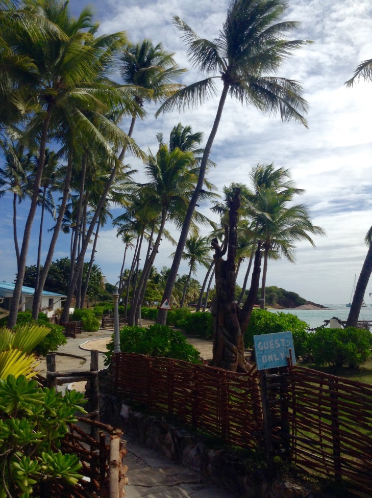 Palm trees, resort, Clifton, Union Island