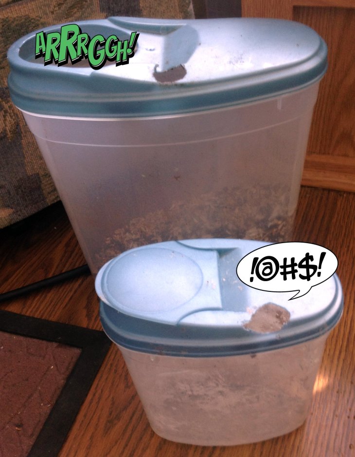 cereal container, mouse chewed hole, bird food, mouse proof
